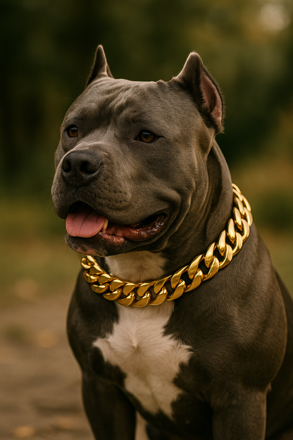 Wiskers &amp; Wag™ BoldBond™ Edelstahlhalsband